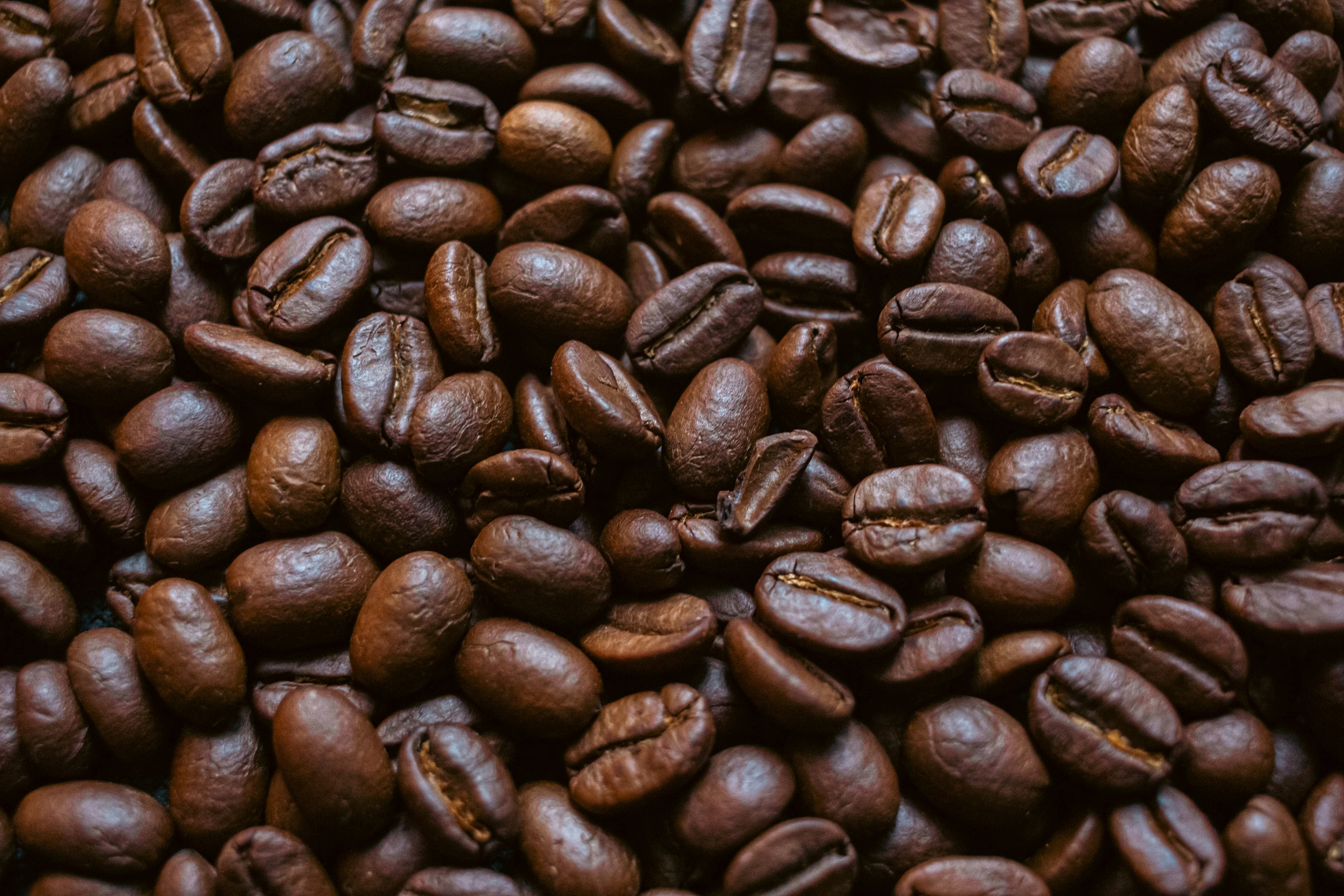 Stiir High Polyphenol Coffee - Beans & Ground